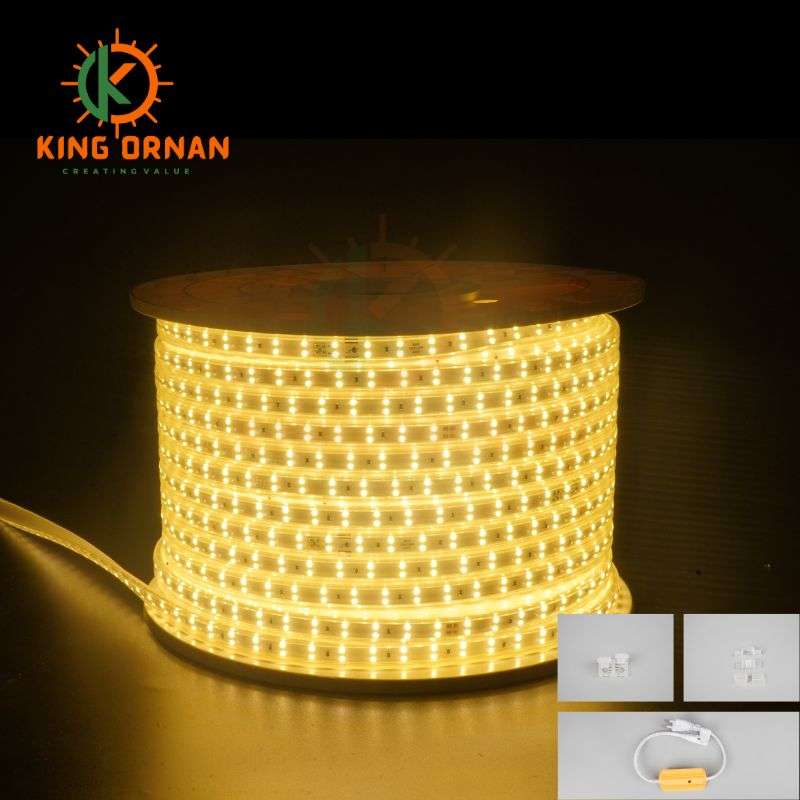 outdoor-led-strip-lights-107.jpg