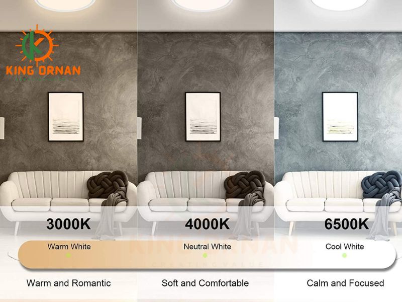 Ip65 LED Ceiling light 3CCT