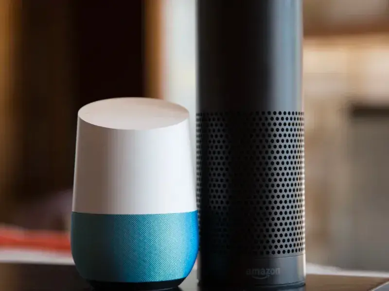 Google Home and Amazon Alexa kingornan