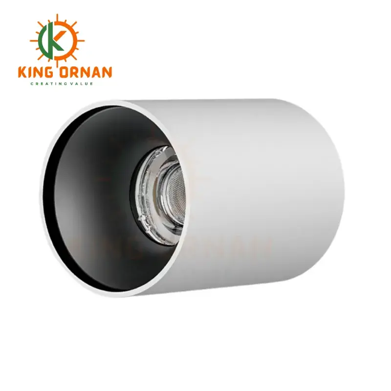 surface mounted can lights