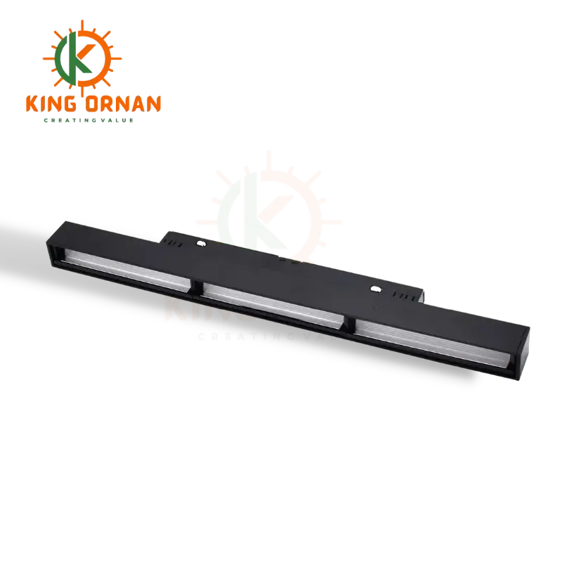 Magnetic Polarized Light